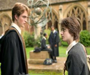 yapboz Harry Potter ve arkadaşı Cedric Diggory